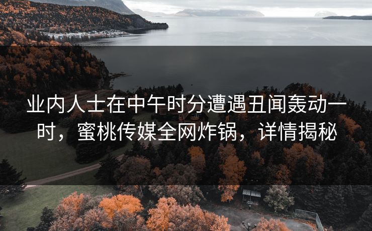 业内人士在中午时分遭遇丑闻轰动一时，蜜桃传媒全网炸锅，详情揭秘