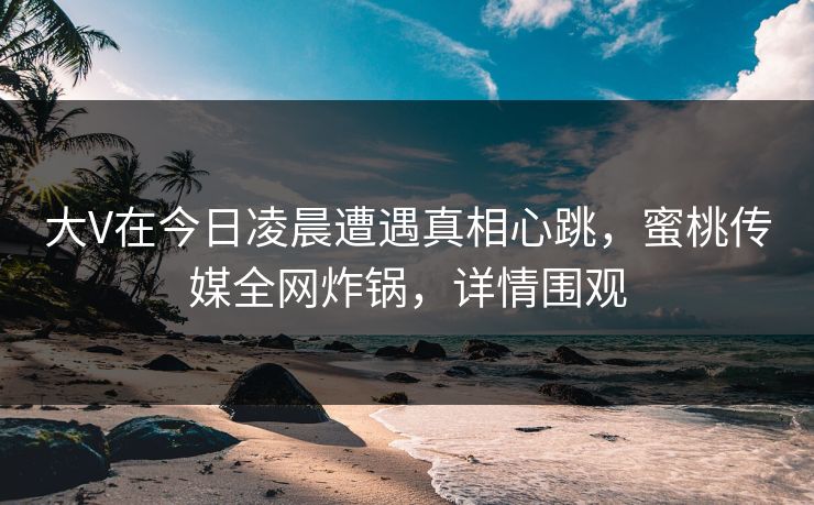 大V在今日凌晨遭遇真相心跳，蜜桃传媒全网炸锅，详情围观