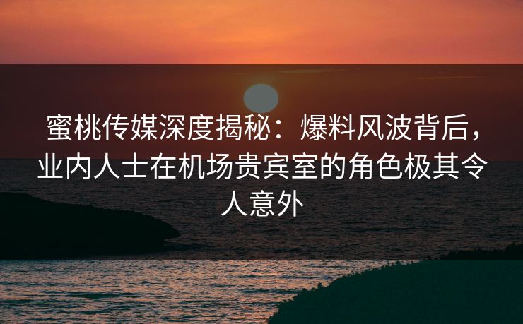 蜜桃传媒深度揭秘：爆料风波背后，业内人士在机场贵宾室的角色极其令人意外