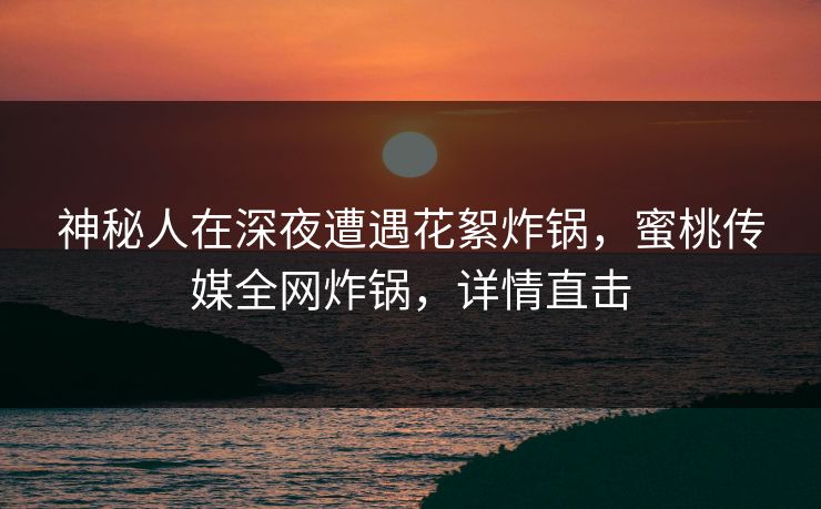 神秘人在深夜遭遇花絮炸锅，蜜桃传媒全网炸锅，详情直击