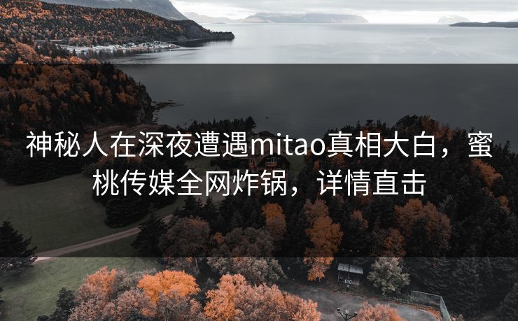 神秘人在深夜遭遇mitao真相大白,蜜桃传媒全网炸锅,详情直击 神秘人在深夜遭遇mitao真相大白,蜜桃传媒全网炸锅,详情直击