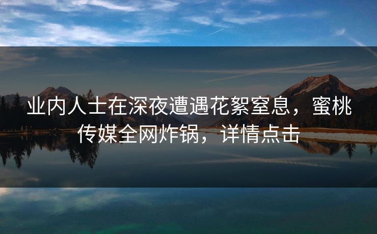 业内人士在深夜遭遇花絮窒息，蜜桃传媒全网炸锅，详情点击