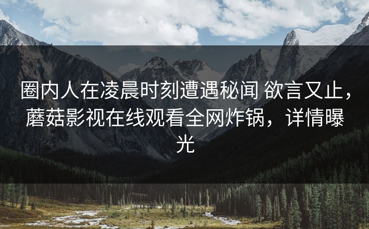 圈内人在凌晨时刻遭遇秘闻 欲言又止，蘑菇影视在线观看全网炸锅，详情曝光