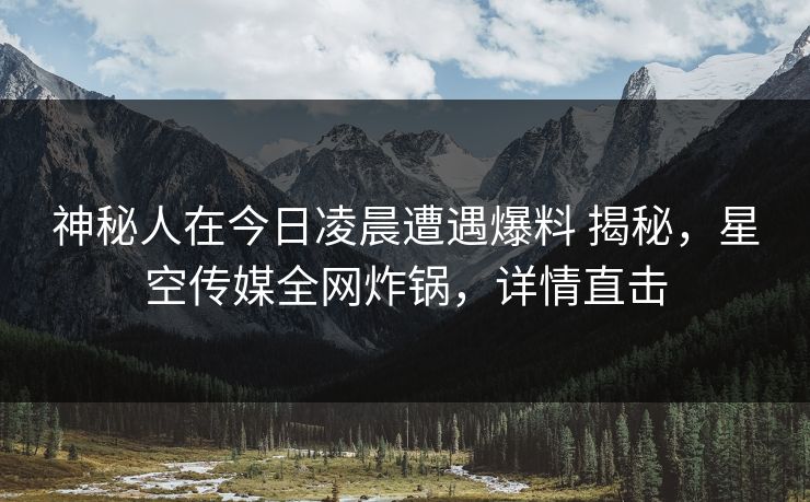 神秘人在今日凌晨遭遇爆料 揭秘，星空传媒全网炸锅，详情直击